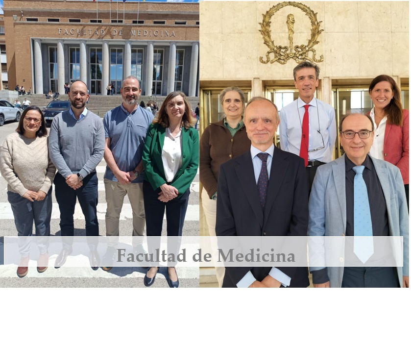 Excelencia Docente en la Facultad de Medicina: Resultados del Programa Docentia UCM